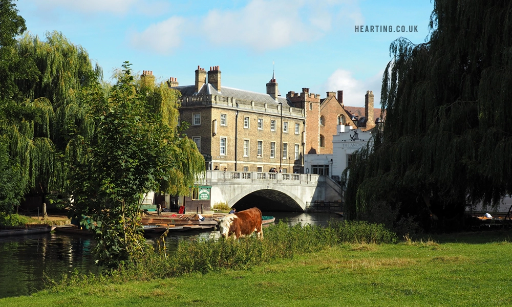 Photo Diary: Cambridge