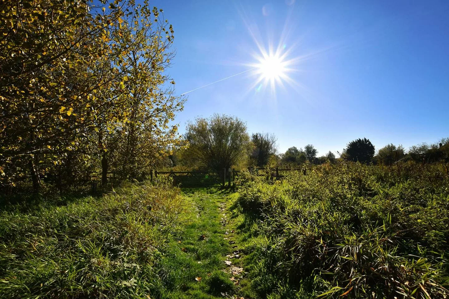 Photo Diary | Revisiting Stotfold Nature Reserve