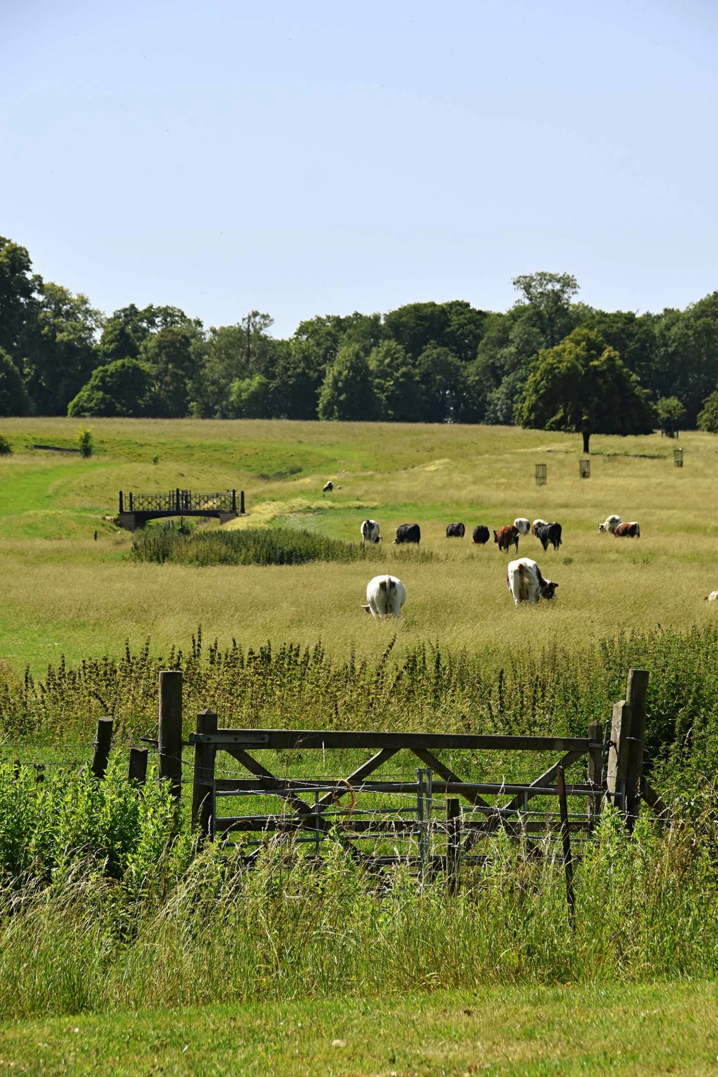 Wimpole Estate | 5 reasons why you should visit